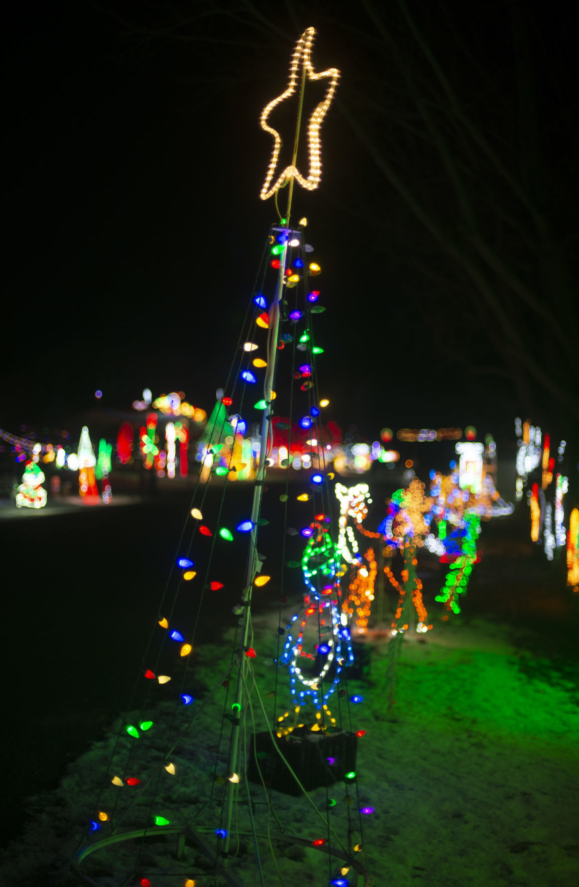 Holiday light displays
